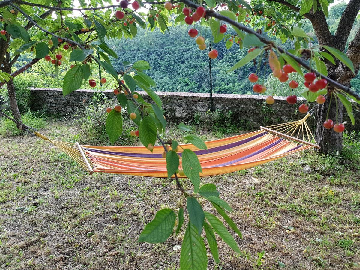 Guest House Il Giardino Colle Val D'Elsa Bagian luar foto